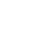 UI/UX Design