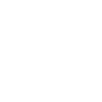 AI Solution